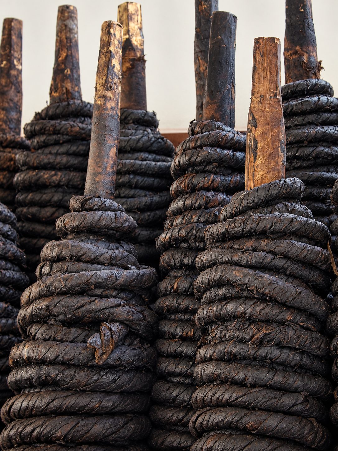 Feixes de tabaco em corda enrolados em bastões, aguardando processamento